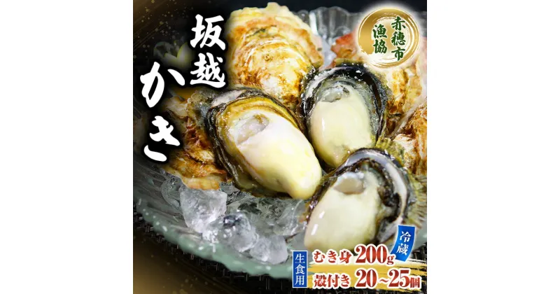 【ふるさと納税】 牡蠣 坂越かき 生食用 殻付き ＋ むき身 セット 殻付き20個～25個 むき身200g 牡蠣ナイフ付き 冬牡蠣 かき カキ　魚貝類／生牡蠣／かき・カキ・シーフード　お届け：2024年12月上旬～2025年3月中旬