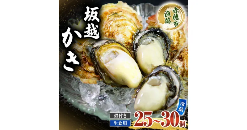 【ふるさと納税】 牡蠣 坂越かき 生食用 殻付き (25個～30個) 牡蠣ナイフ付き 冬牡蠣 かき カキ　魚貝類／生牡蠣／かき・カキ・シーフード　お届け：2024年12月上旬～2025年3月中旬