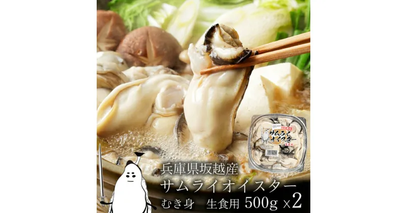 【ふるさと納税】牡蠣 生食 坂越かき むき身 500g×2(サムライオイスター) 生牡蠣 冬牡蠣　魚貝類・生牡蠣・かき　お届け：2024年11月下旬～2025年3月下旬