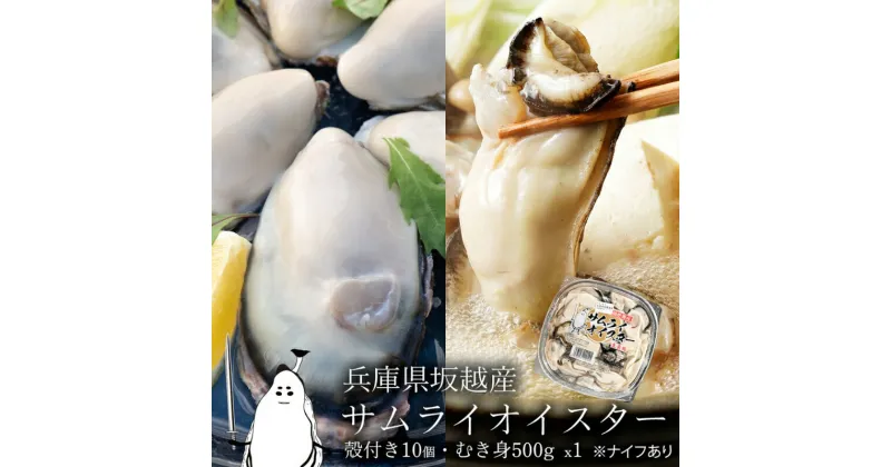 【ふるさと納税】牡蠣 生食 坂越かき むき身 500g×1、 殻付き 10個(牡蠣ナイフ・軍手付き)サムライオイスター 生牡蠣 冬牡蠣　魚貝類・生牡蠣・かき　お届け：2024年12月中旬～2025年3月下旬