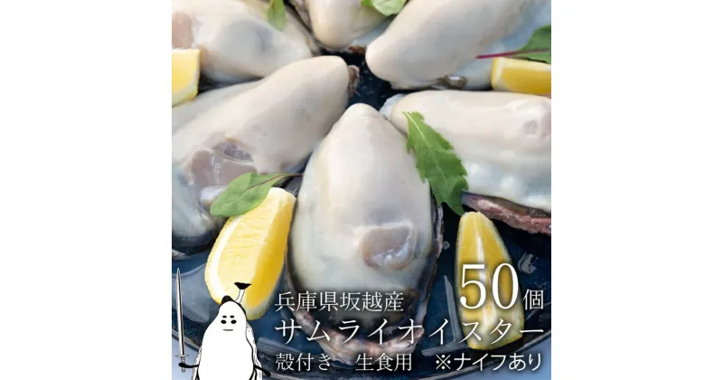 【ふるさと納税】牡蠣 生食 坂越かき 殻付き 50個(牡蠣ナイフ・軍手付き)サムライオイスター 生牡蠣 冬牡蠣　魚貝類・生牡蠣・かき　お届け：2024年12月中旬～2025年4月下旬