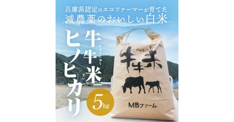 【ふるさと納税】兵庫県認定のエコファーマーが育てた減農薬のおいしい白米『牛牛米 ヒノヒカリ』(5kg) 【令和6年度産】　お米・ヒノヒカリ　お届け：2024年11月上旬より順次出荷予定