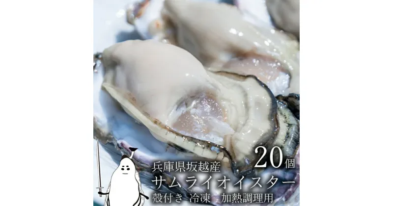 【ふるさと納税】牡蠣 坂越かき 【冷凍】 殻付き 20個(加熱用)サムライオイスター 冬牡蠣　魚介類・カキ・牡蠣・加工食品