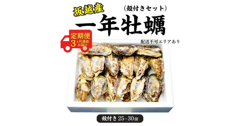 【ふるさと納税】 定期便 牡蠣 坂越かき 生食用 殻付き (25個～30個)牡蠣ナイフ付き【12月～2月(3ヶ月連続)お届け】 冬牡蠣 かき カキ　定期便・魚貝類・生牡蠣・かき　お届け：2024年12月中旬～2025年2月