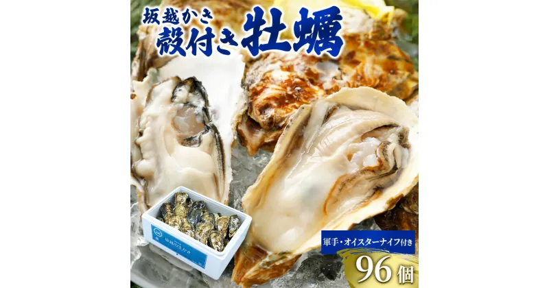 【ふるさと納税】牡蠣 坂越かき 殻付き牡蠣96個 軍手・オイスターナイフ付き[ 生牡蠣 かき カキ 殻付 生食 冬牡蠣 ]　魚貝類・生牡蠣・かき・カキ・牡蠣・ナイフ・オイスターナイフ・殻付き　お届け：2024年12月中旬～2025年3月末