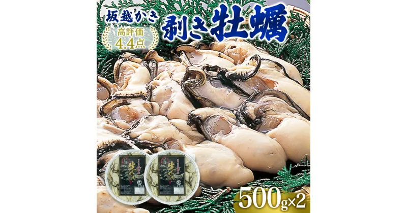 【ふるさと納税】 牡蠣 坂越かき 剥き牡蠣 500g×2[ 生牡蠣 かき カキ むき身 剥き身 生食 冬牡蠣 ]　魚貝類・生牡蠣・かき・魚介類・カキ・牡蠣　お届け：2024年12月中旬～2025年3月末