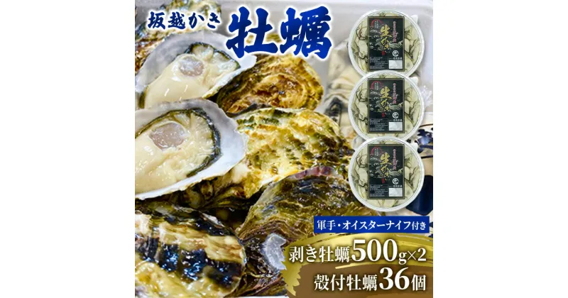 【ふるさと納税】 牡蠣 坂越かき 剥き牡蠣 500g×2、殻付き牡蠣 36個 軍手・オイスターナイフ付き[ 生牡蠣 かき カキ 生食 冬牡蠣 ]　魚貝類・生牡蠣・かき・カキ・牡蠣・ナイフ・オイスターナイフ・殻付き・剥き身　お届け：2024年12月中旬～2025年3月末