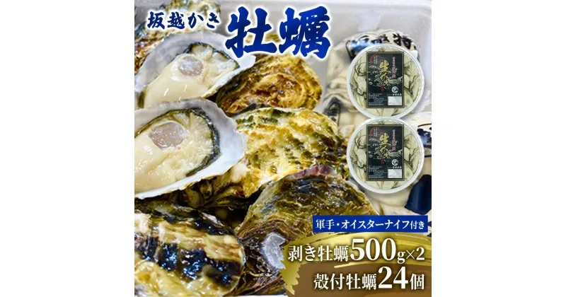 【ふるさと納税】 牡蠣 坂越かき 剥き牡蠣 500g×2、殻付き牡蠣 24個 軍手・オイスターナイフ付き[ 生牡蠣 かき カキ 生食 冬牡蠣 ]　魚貝類・生牡蠣・かき・カキ・牡蠣・ナイフ・オイスターナイフ・殻付き・剥き身　お届け：2024年12月中旬～2025年3月末