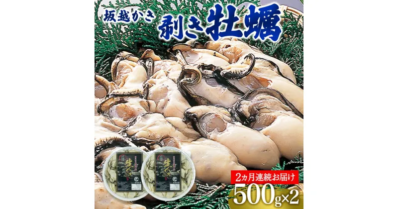 【ふるさと納税】 定期便 牡蠣 坂越かき 剥き牡蠣 500g×2【2ヵ月連続お届け】[ 生牡蠣 かき カキ むき身 剥き身 生食 冬牡蠣 ]　定期便・魚貝類・生牡蠣・かき・1kg　お届け：2025年1月中旬～2025年3月中旬