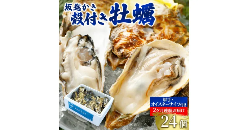 【ふるさと納税】 定期便 牡蠣 坂越かき 殻付き牡蠣 24個 オイスターナイフ付き【2ヵ月連続お届け】[ 生牡蠣 かき カキ 殻付 生食 冬牡蠣 ]　定期便・魚貝類・生牡蠣・かき　お届け：2025年1月中旬～2025年3月中旬