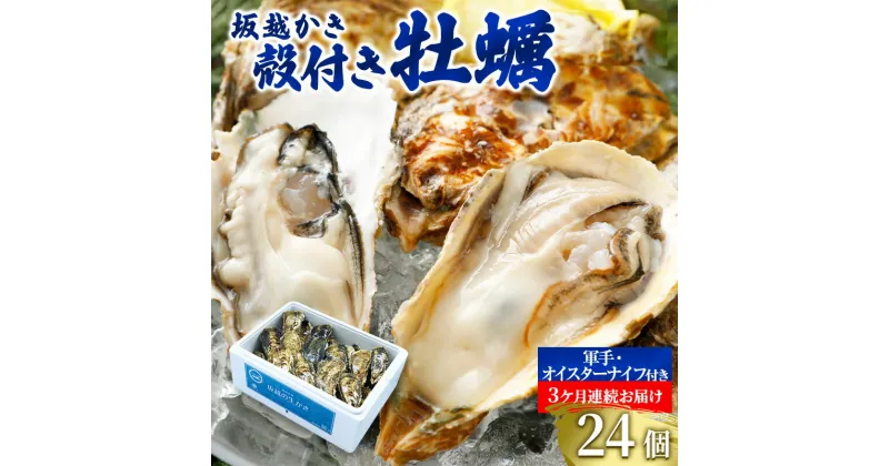 【ふるさと納税】 定期便 牡蠣 坂越かき 殻付き牡蠣 24個 オイスターナイフ付き【3ヵ月連続お届け】[ 生牡蠣 かき カキ 殻付 生食 冬牡蠣 ]　定期便・魚貝類・生牡蠣・かき・冷凍　お届け：2025年1月中旬～2025年3月中旬