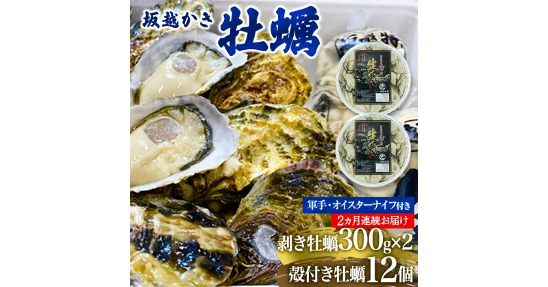 【ふるさと納税】 定期便 牡蠣 坂越かき 剥き牡蠣 300g×2、殻付き牡蠣 12個 オイスターナイフ付き【2ヵ月連続お届け】[ 生牡蠣 かき カキ 生食 冬牡蠣 ]　定期便・魚貝類・生牡蠣・かき　お届け：2025年1月中旬～2025年3月中旬