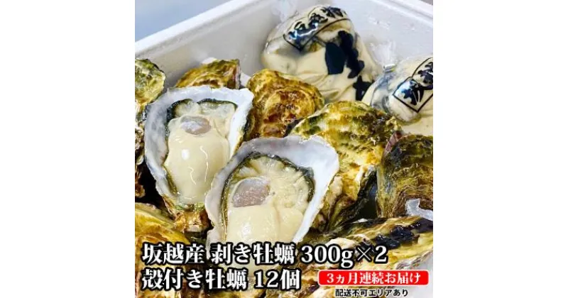 【ふるさと納税】 定期便 牡蠣 坂越かき 剥き牡蠣 300g×2、殻付き牡蠣 12個 オイスターナイフ付き【3ヵ月連続お届け】[ 生牡蠣 かき カキ 生食 冬牡蠣 ]　定期便・魚貝類・生牡蠣・かき　お届け：2025年1月中旬～2025年3月中旬