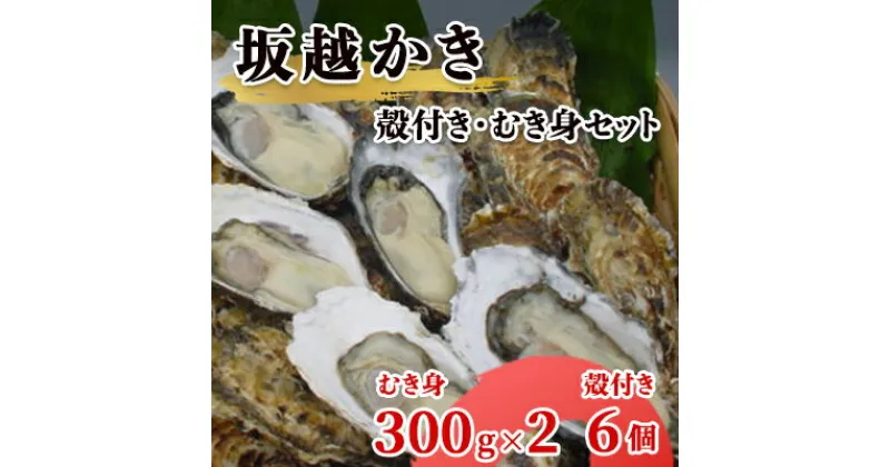 【ふるさと納税】【2025年1月中旬から出荷】坂越かき 殻付き6個・むき身 (300g×2)セット（北海道・沖縄・離島への配送不可）[ 牡蠣 冬牡蠣 ]　 魚貝類 牡蠣の剥き身 一年牡蠣 えぐみが少ない ほのかな甘 み縮みにくい 新鮮 　お届け：2025年1月10日～2025年3月31日