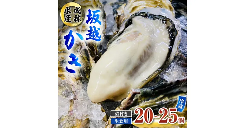 【ふるさと納税】牡蠣 生食用 坂越かき 殻付き 20～25個 成林水産 [ 生牡蠣 真牡蠣 かき カキ 冬牡蠣 ]　 魚貝類 海鮮 海のミルク 身が大きい 濃厚 風味豊か 旨味 新鮮な牡蠣 　お届け：2025年1月中旬～2025年3月末