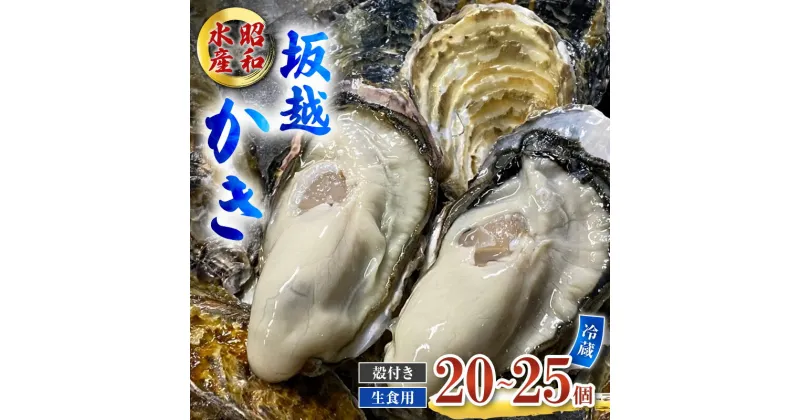 【ふるさと納税】牡蠣 生食用 坂越かき 殻付き 20～25個 昭和水産 [ 生牡蠣 真牡蠣 かき カキ 冬牡蠣 ]　 魚貝類 海鮮 海のミルク 身が大きい 濃厚 風味豊か 旨味 新鮮な牡蠣 　お届け：2025年1月中旬～2025年3月末