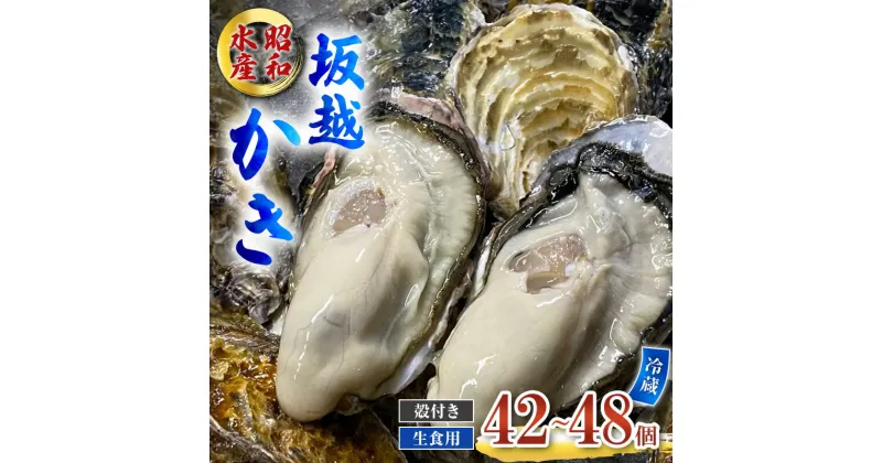 【ふるさと納税】牡蠣 生食用 坂越かき 殻付き 42～48個 昭和水産 [ 生牡蠣 真牡蠣 かき カキ 冬牡蠣 ]　 魚貝類 海鮮 海のミルク 身が大きい 濃厚 風味豊か 旨味 新鮮な牡蠣 　お届け：2025年1月中旬～2025年3月末