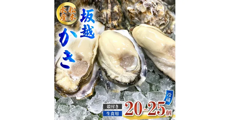 【ふるさと納税】牡蠣 生食用 坂越かき 殻付き 20～25個 松本水産 [ 生牡蠣 真牡蠣 かき カキ 冬牡蠣 ]　 魚貝類 海鮮 海のミルク 身が大きい 濃厚 風味豊か 旨味 新鮮な牡蠣 　お届け：2025年1月中旬～2025年3月末