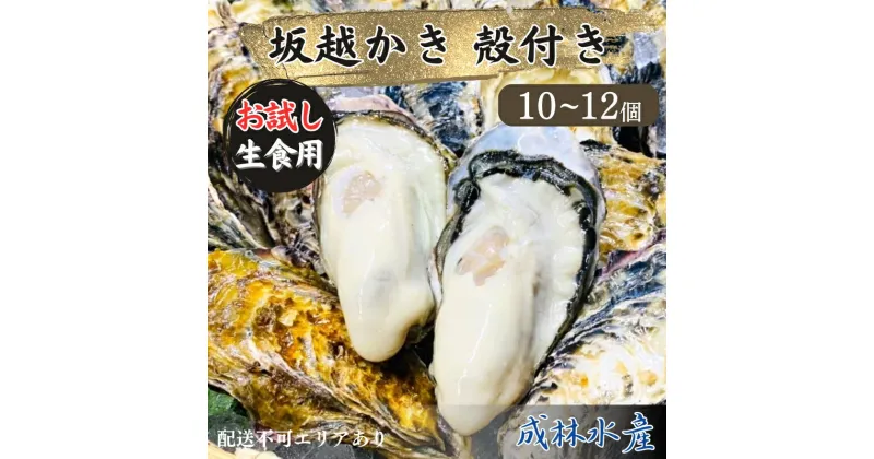 【ふるさと納税】牡蠣 生食用 お試し 坂越かき 殻付き 10～12個 成林水産 [ 生牡蠣 真牡蠣 かき カキ 一人暮し 冬牡蠣 ]　 魚貝類 牡蠣 名水百選 天然記念物 生島樹林 栄養 水 海 ミルク 濃厚 旨味 厳選 新鮮 　お届け：2025年1月中旬～2025年3月末