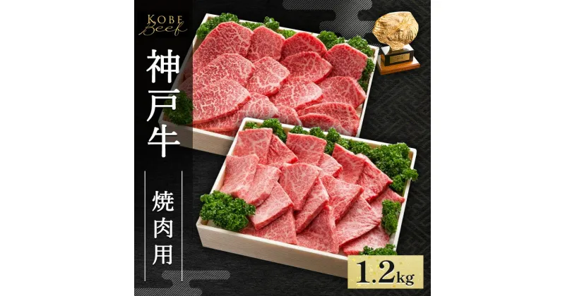 【ふるさと納税】神戸牛 焼肉用 セット 計1.2kg AKYS5[ 肉 牛肉 神戸ビーフ かたロース ロース かた もも バーベキュー キャンプ アウトドア ]　赤穂市　お届け：1～3ヶ月後お届け