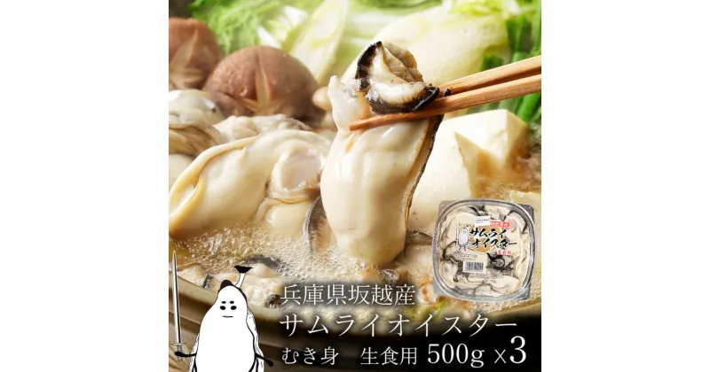 【ふるさと納税】牡蠣 生食 坂越かき むき身 500g×3 サムライオイスター かき 生牡蠣 兵庫県 赤穂市　魚貝類・生牡蠣・かき　お届け：2024年11月下旬～2025年3月下旬