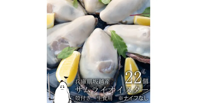 【ふるさと納税】牡蠣 生食 坂越かき 殻付き22個【ナイフなし】 サムライオイスター　かき 生牡蠣 兵庫県 赤穂市　魚貝類・生牡蠣・かき　お届け：2024年12月中旬～2025年4月下旬