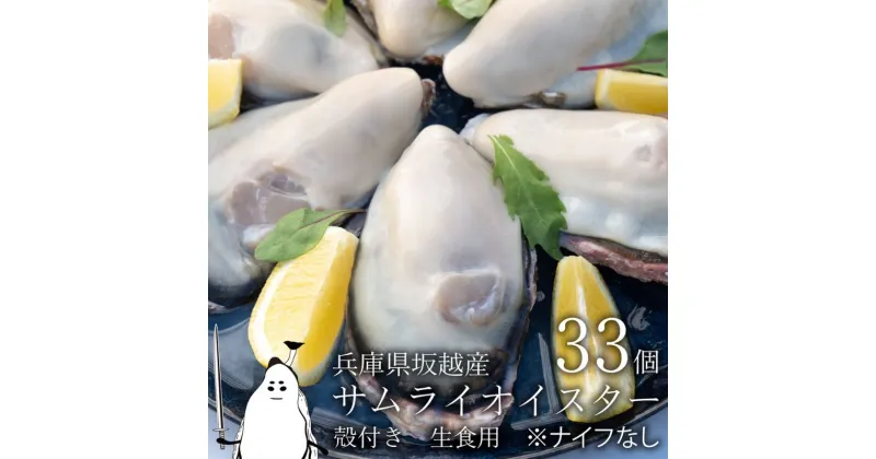 【ふるさと納税】牡蠣 生食 坂越かき 殻付き33個【ナイフなし】サムライオイスター かき 生牡蠣 兵庫県 赤穂市　魚貝類・生牡蠣・かき　お届け：2024年12月中旬～2025年4月下旬