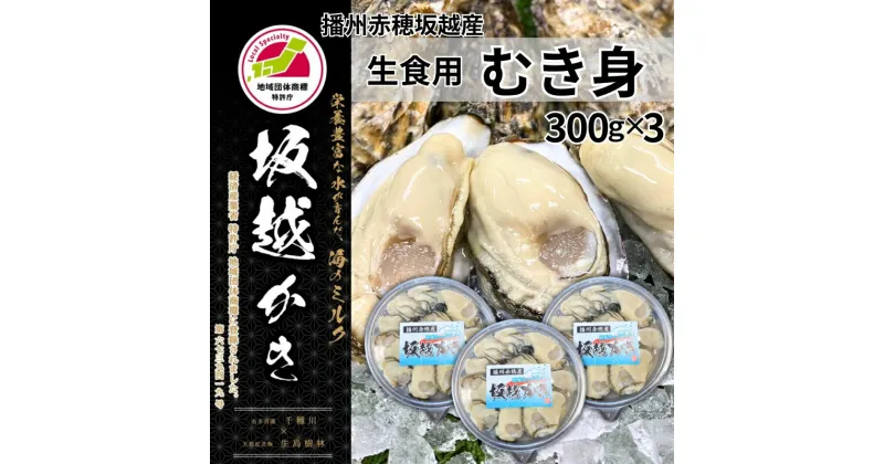 【ふるさと納税】牡蠣 坂越かき 生食用 むき身 300g×3個 (計900g)[ 生牡蠣 冬牡蠣 かき カキ 真牡蠣 ]　お届け：2024年12月上旬～2025年3月中旬