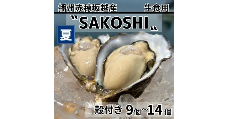 【ふるさと納税】牡蠣 SAKOSHI 生食用 殻付き 9個～14個 牡蠣ナイフ付き [ 坂越かき プレミアム 生牡蠣 夏牡蠣 かき カキ 三倍体 ]　お届け：2024年6月上旬～2024年11月末