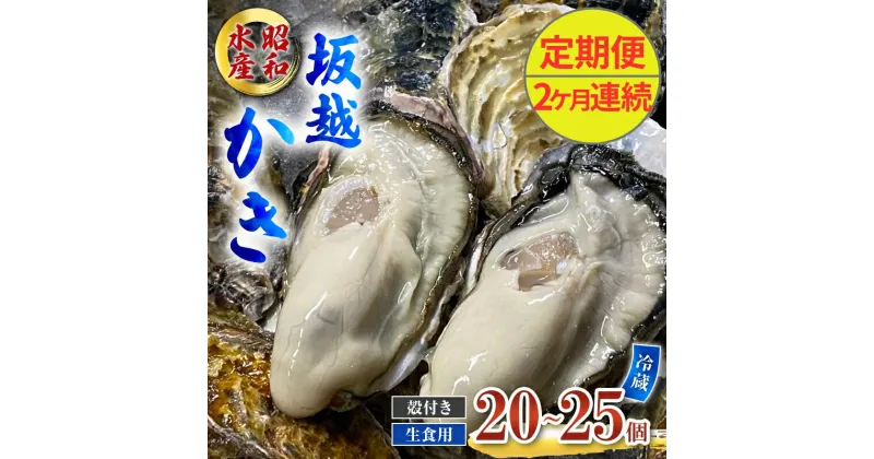 【ふるさと納税】定期便 牡蠣 生食用 坂越かき 殻付き 20～25個《2ヶ月連続お届け》 昭和水産 [ 生牡蠣 真牡蠣 かき カキ 冬牡蠣 ]　定期便　お届け：2025年1月中旬～3月中旬まで