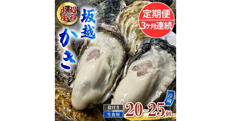 【ふるさと納税】定期便 牡蠣 生食用 坂越かき 殻付き 20～25個《3ヶ月連続お届け》 昭和水産 [ 生牡蠣 真牡蠣 かき カキ 冬牡蠣 ]　定期便　お届け：2025年1月中旬～3月中旬まで