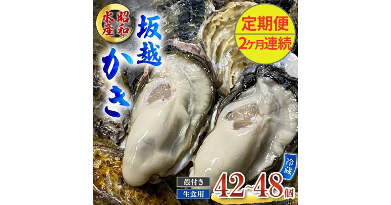 【ふるさと納税】定期便 牡蠣 生食用 坂越かき 殻付き 42～48個《2ヶ月連続お届け》 昭和水産 [ 生牡蠣 真牡蠣 かき カキ 冬牡蠣 ]　定期便　お届け：2025年1月中旬～3月中旬まで