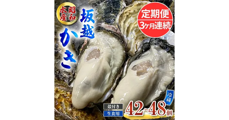 【ふるさと納税】定期便 牡蠣 生食用 坂越かき 殻付き 42～48個《3ヶ月連続お届け》 昭和水産 [ 生牡蠣 真牡蠣 かき カキ 冬牡蠣 ]　定期便　お届け：2025年1月中旬～3月中旬まで