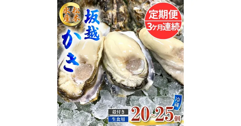 【ふるさと納税】定期便 牡蠣 生食用 坂越かき 殻付き 20～25個《3ヶ月連続お届け》 松本水産 [ 生牡蠣 真牡蠣 かき カキ 冬牡蠣 ]　定期便　お届け：2025年1月中旬～3月中旬まで