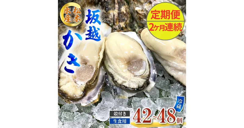 【ふるさと納税】定期便 牡蠣 生食用 坂越かき 殻付き 42～48個《2ヶ月連続お届け》 松本水産 [ 生牡蠣 真牡蠣 かき カキ 冬牡蠣 ]　定期便　お届け：2025年1月中旬～3月中旬まで