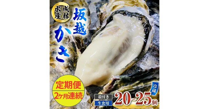 【ふるさと納税】定期便 牡蠣 生食用 坂越かき 殻付き 20～25個《2ヶ月連続お届け》 成林水産 [ 生牡蠣 真牡蠣 かき カキ 冬牡蠣 ]　定期便　お届け：2025年1月中旬～3月中旬まで