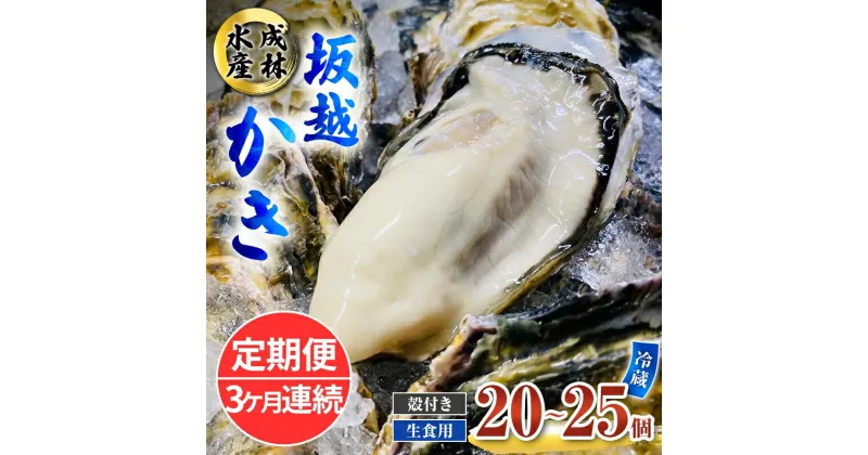 【ふるさと納税】定期便 牡蠣 生食用 坂越かき 殻付き 20～25個《3ヶ月連続お届け》 成林水産 [ 生牡蠣 真牡蠣 かき カキ 冬牡蠣 ]　定期便　お届け：2025年1月中旬～3月中旬まで