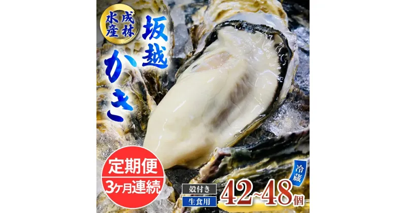 【ふるさと納税】定期便 牡蠣 生食用 坂越かき 殻付き 42～48個《3ヶ月連続お届け》 成林水産 [ 生牡蠣 真牡蠣 かき カキ 冬牡蠣 ]　定期便　お届け：2025年1月中旬～3月中旬まで