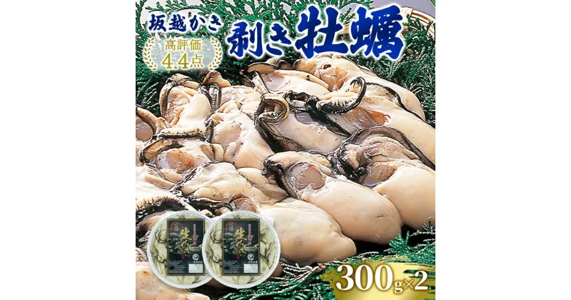 【ふるさと納税】牡蠣 坂越かき 剥き牡蠣 300g×2[ 生牡蠣 かき カキ むき身 剥き身 生食 冬牡蠣 国産 ] 兵庫県 赤穂市　お届け：2024年12月中旬～2025年3月末