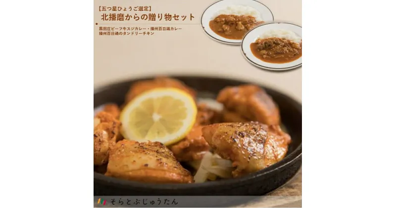 【ふるさと納税】 【五つ星ひょうご選定】北播磨からの贈り物セット（カレー＆タンドリーチキン）