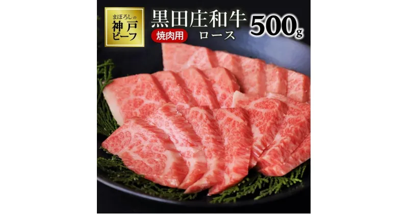 【ふるさと納税】【神戸ビーフ素牛】特選 黒田庄和牛（焼肉用ロース：500g） 牛肉 焼肉 神戸牛 西脇市 神戸牛 神戸ビーフ 黒田庄和牛 焼肉 BBQ 和牛 霜降り 但馬牛 赤身 おうち時間 ご褒美 贅沢 ギフト お取り寄せ