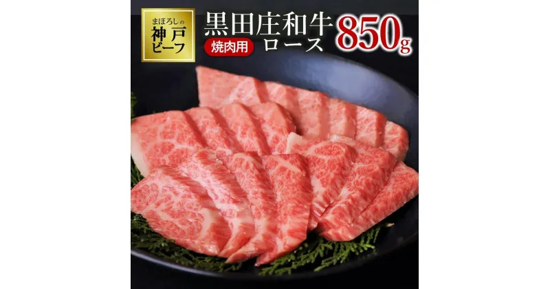 【ふるさと納税】【神戸ビーフ素牛】特選 黒田庄和牛（焼肉用ロース：850g）牛肉 焼肉 神戸牛