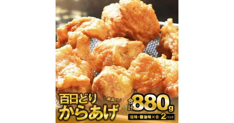 【ふるさと納税】播州百日どり　からあげ880g（4袋入) 醤油 塩 各2袋 唐揚げ から揚げ からあげ もも肉 簡単調理 温めるだけ 自然解凍 とり肉 鶏肉 鳥肉 惣菜 時短 小分け 簡単 お取り寄せ 名産 名物 西脇市 お取り寄せ 手羽元