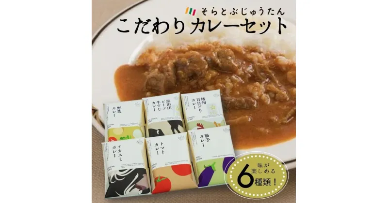 【ふるさと納税】ひょうごの食材こだわりカレーセット6種《そらとぶじゅうたん》 カレー レトルト カレーライス レトルトカレー カレーの日