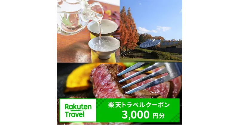 【ふるさと納税】兵庫県西脇市の対象施設で使える楽天トラベルクーポン 寄付額10,000円