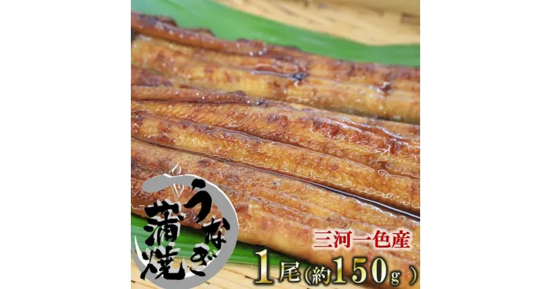 【ふるさと納税】【うなぎ 蒲焼き】活うなぎ 1尾/愛知・一色産150g 魚プロ集団が最新ロースト機で手掛ける自信作！