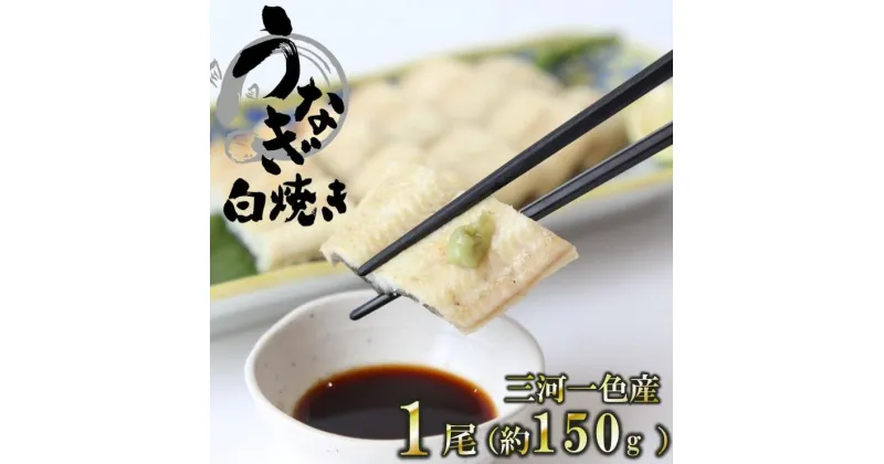 【ふるさと納税】【うなぎ 白焼き】活うなぎ 1尾/愛知・一色産150g 魚プロ集団が最新ロースト機で手掛ける自信作！