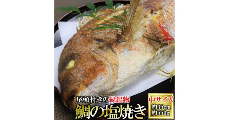 【ふるさと納税】【尾頭付き・縁起物】活塩焼き鯛（タイ）姿焼き中サイズ約550g/約35cm　魚プロ集団が手掛ける自信作！