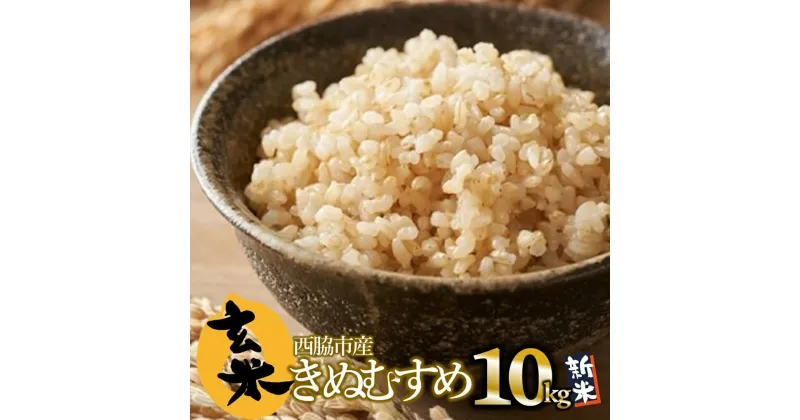 【ふるさと納税】【きぬむすめ】令和6年産 新米 玄米10kg（10kg×1袋）