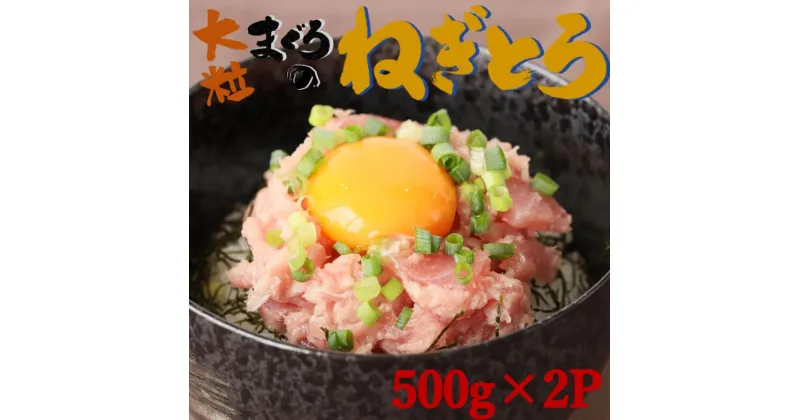 【ふるさと納税】【瞬間冷凍で鮮度キープ】天然マグロ 大粒ネギトロ 約1kg （500g×2P） メバチマグロ キハダマグロ ねぎとろ ねぎトロ まぐろ 鮪 まぐろたたき たたき 大粒たたき